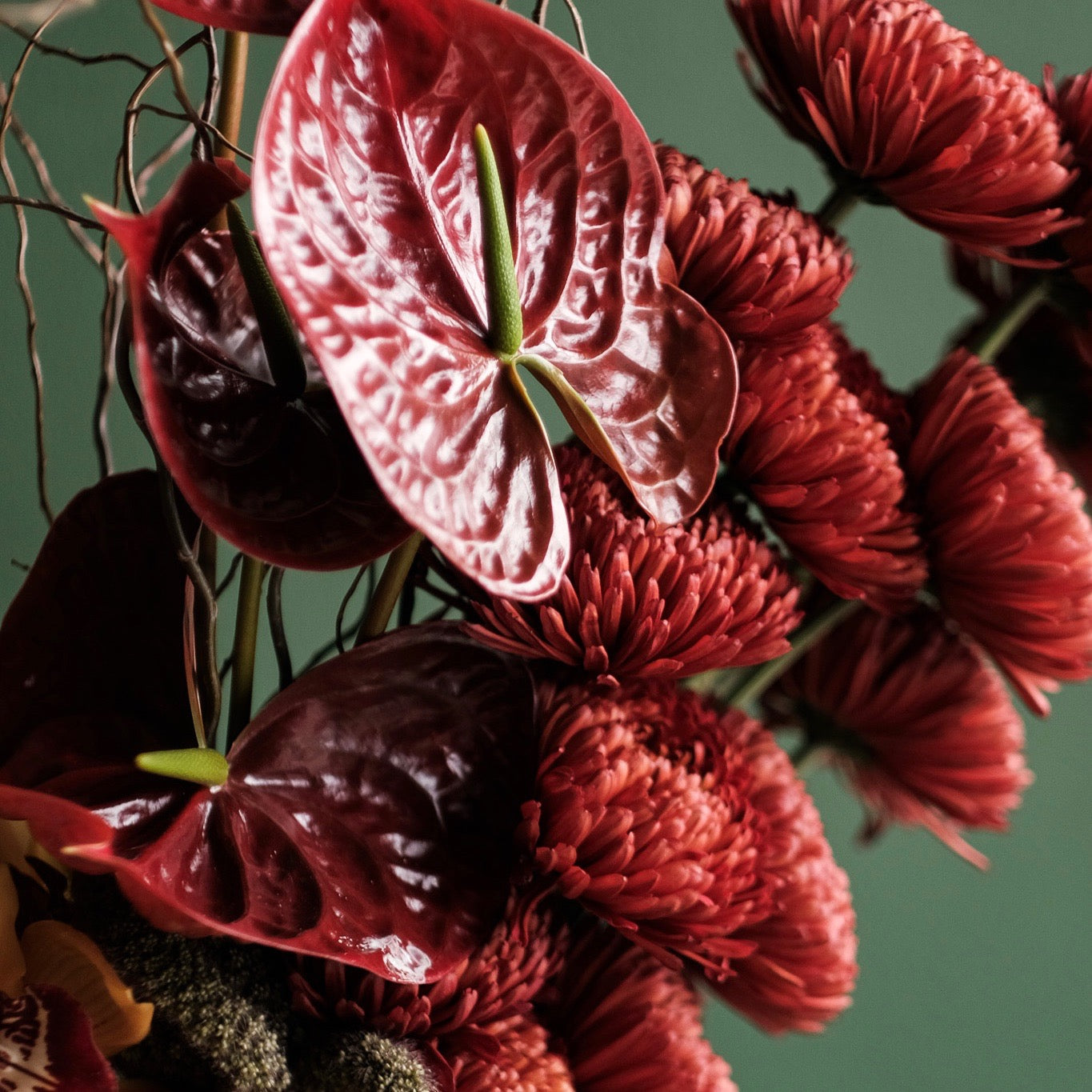 Orkideli Kış Buketi