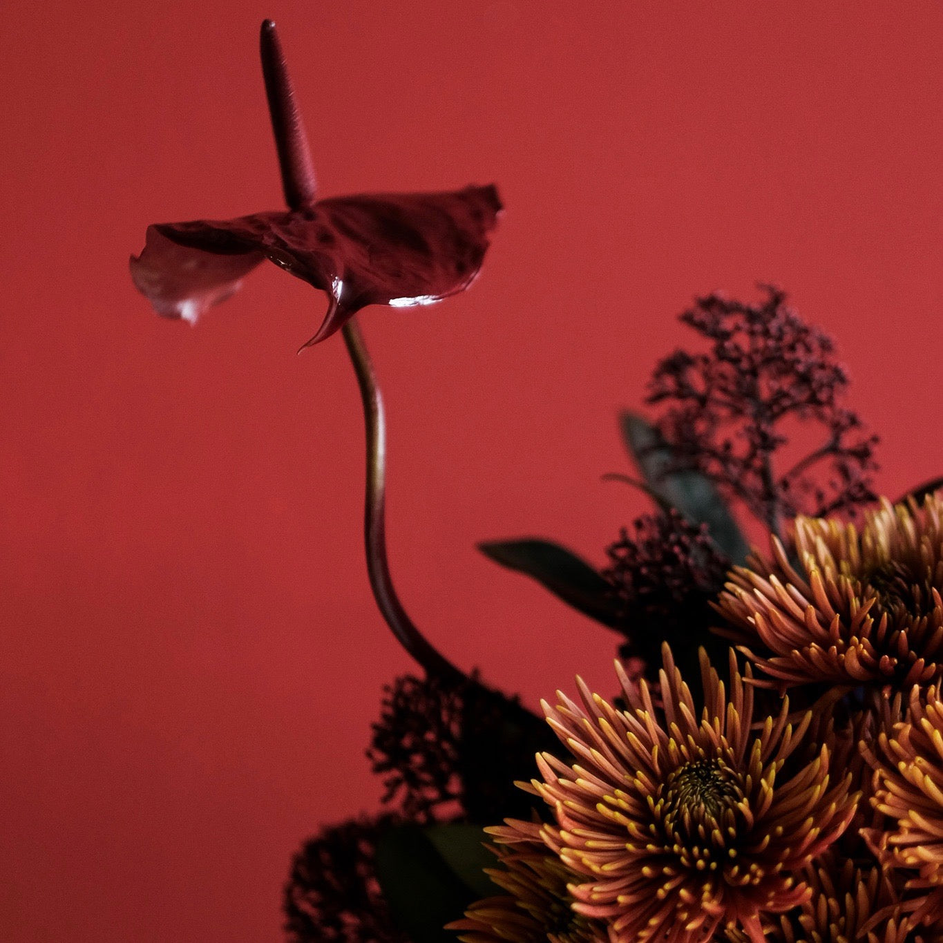 Kahverengi Misk Seramik Vazosunda Özel Şakayık Aranjmanı