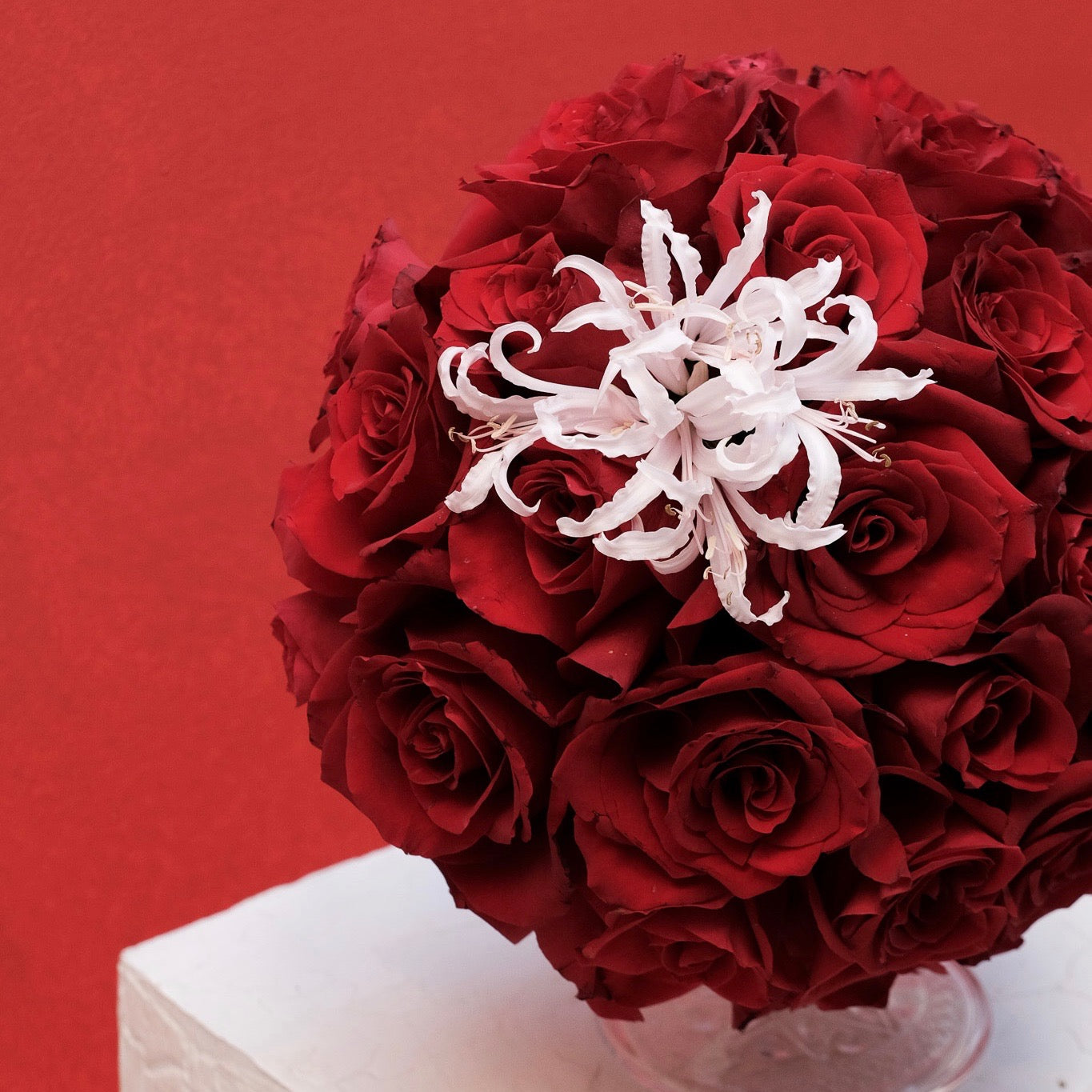 Love Bombing Ekvator Gülü Aranjmanı