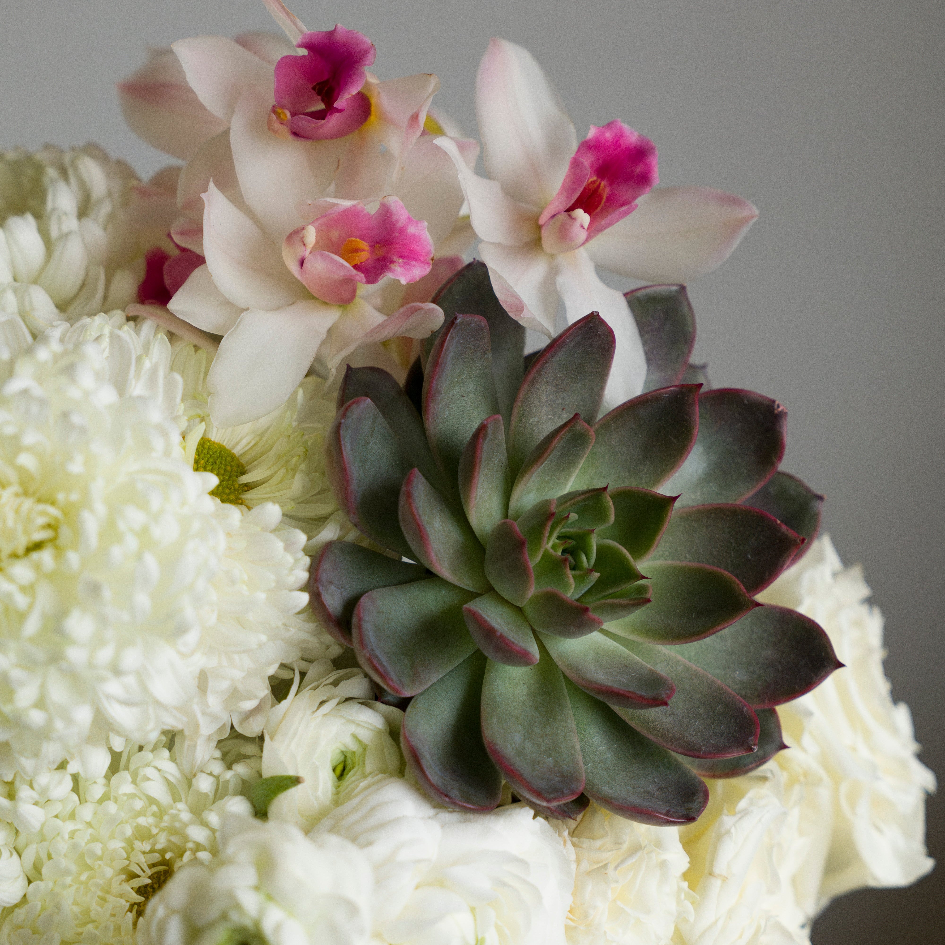 White With An Edge Aranjmanı