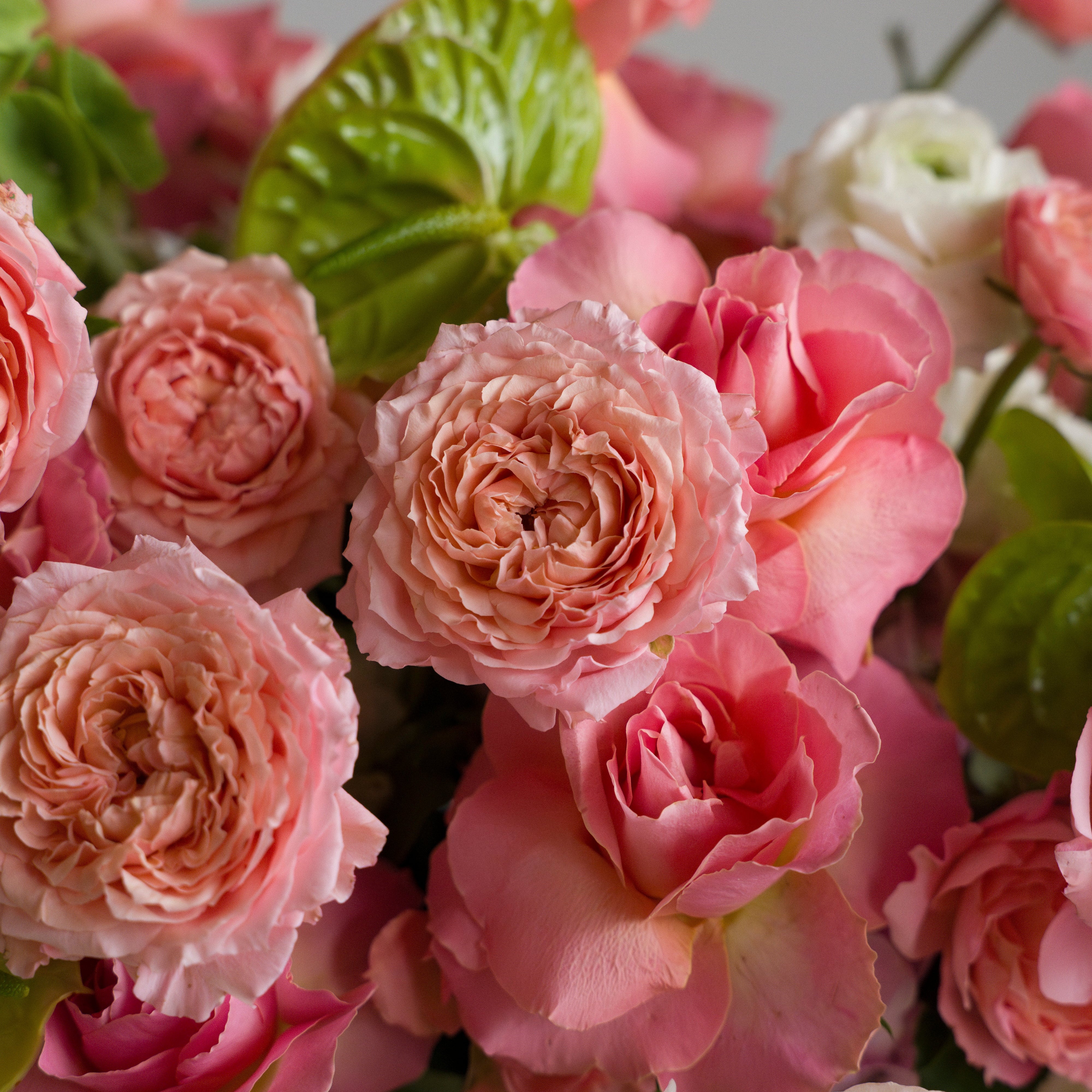 Pink Flowers in Grey Box Aranjmanı