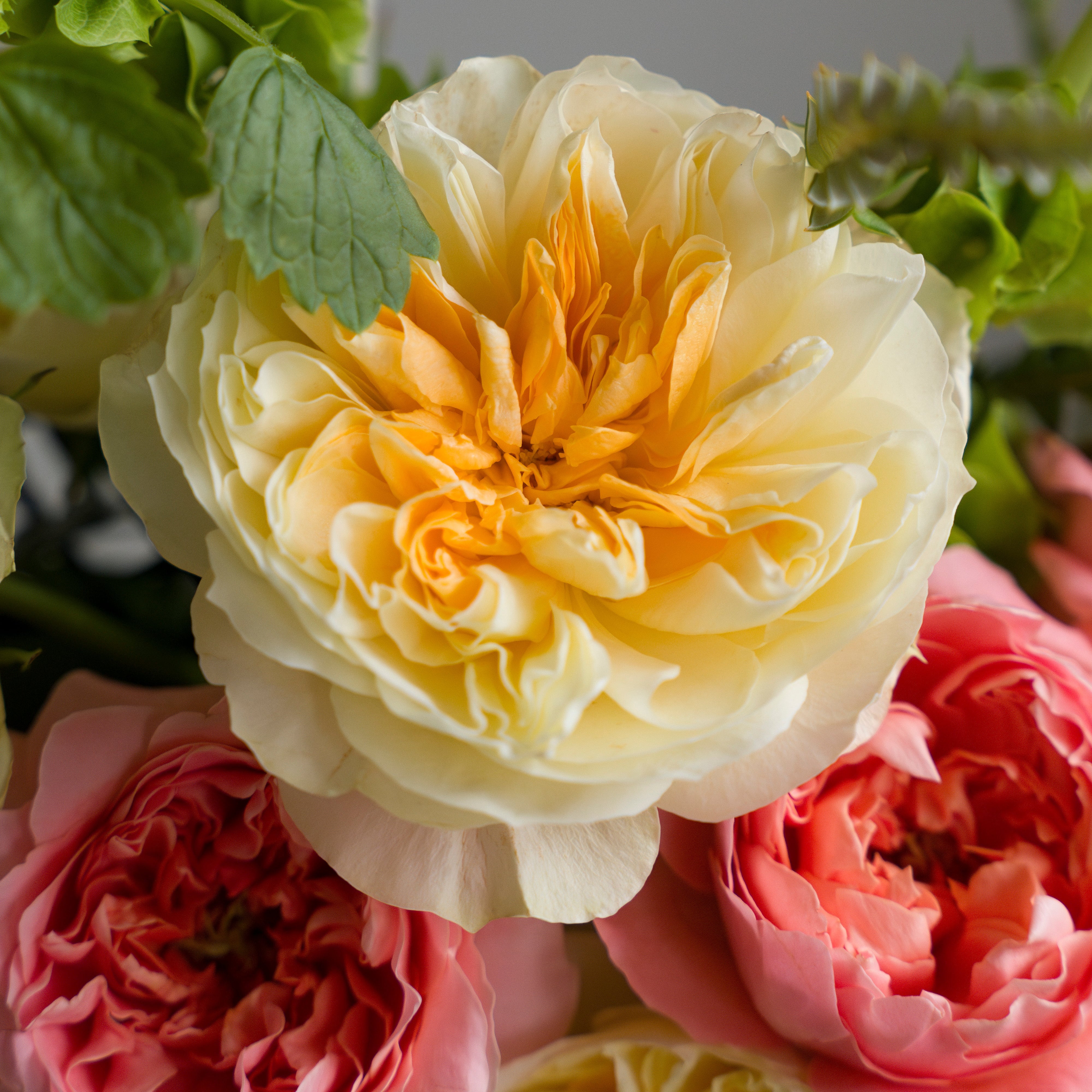 Thinking Of You Aranjmanı