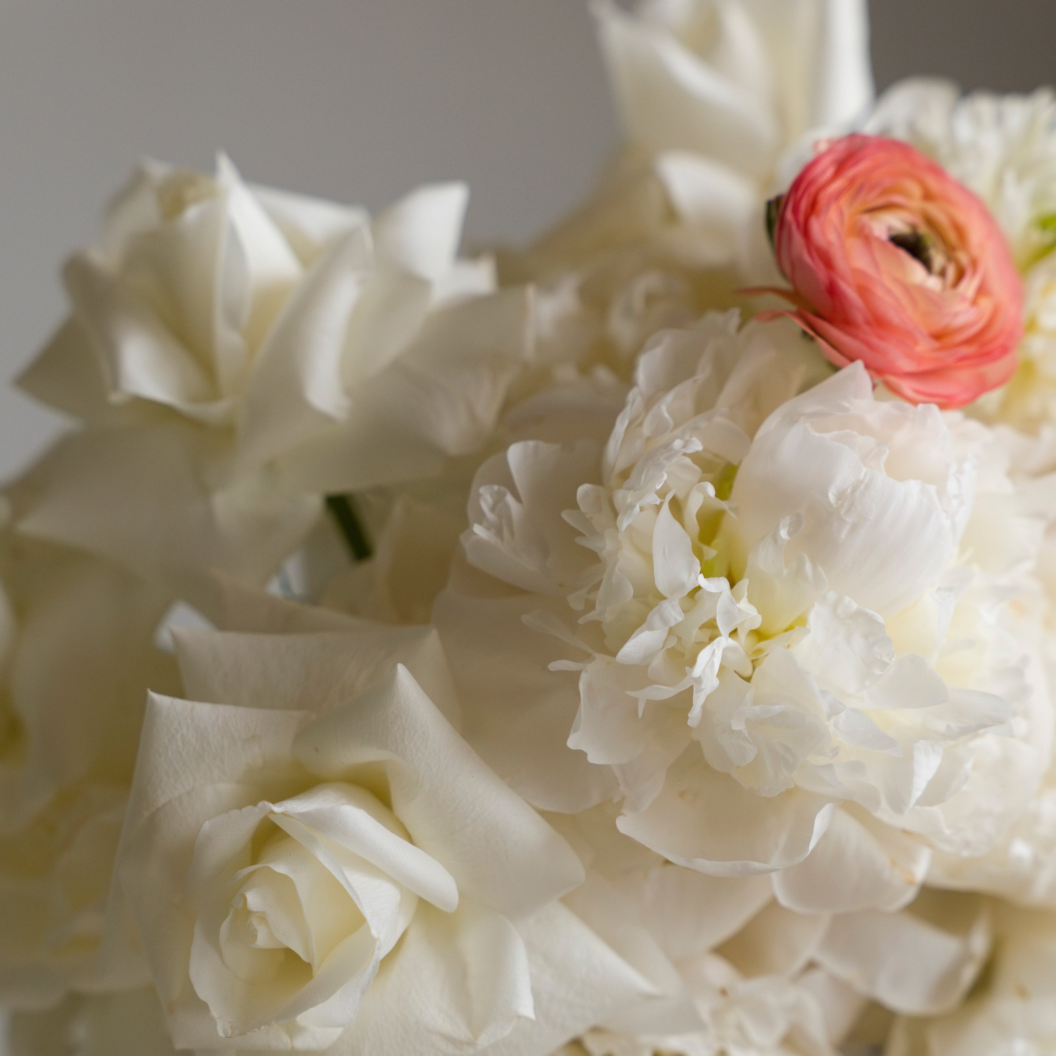 Center Of Attention Aranjmanı