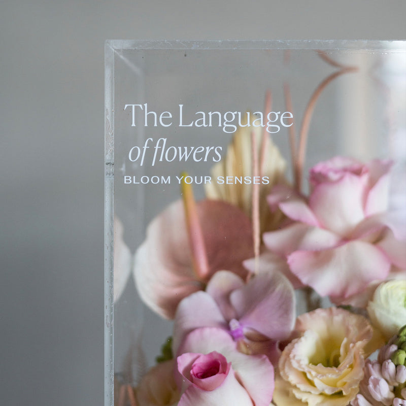 The Language of Flowers #4