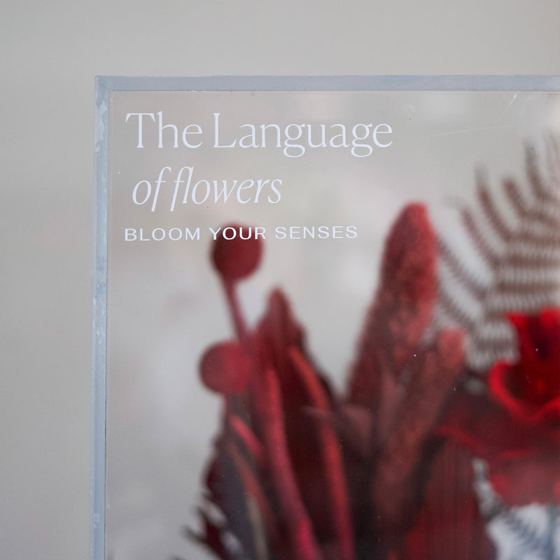 The Language of Flowers #1