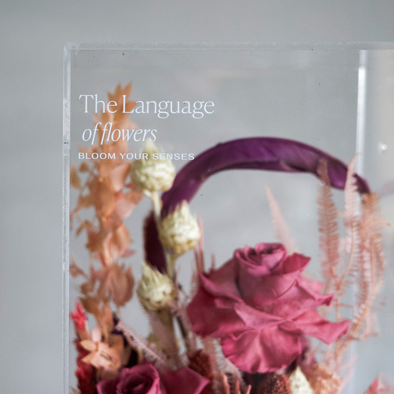 The Language of Flowers #3